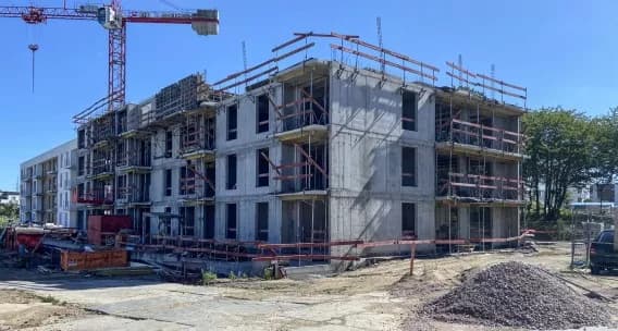 Leszczynowy Park - fotorelacja lipiec 2024 - Firma - Deweloper DOMESTA