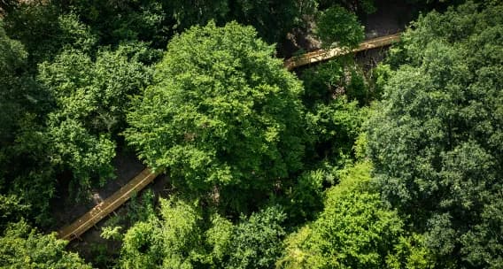 Tereny rekreacyjne nad potokiem - Firma - Deweloper DOMESTA
