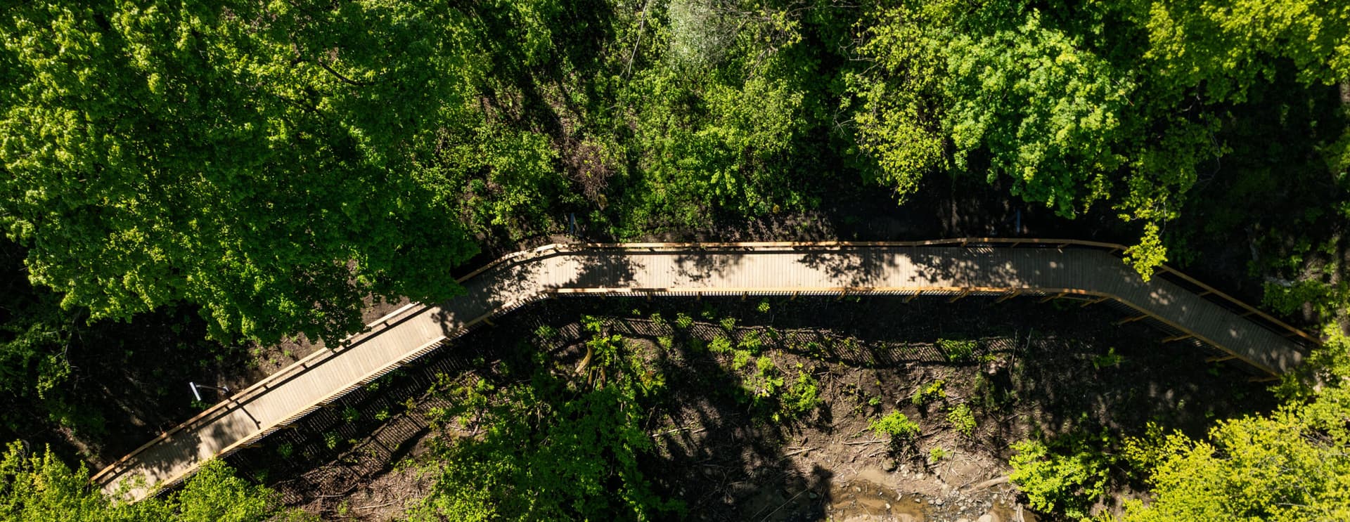 Szczęśliwe sąsiedztwo