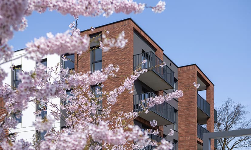 Nowoczesny apartamentowiec z ceglano-białą elewacją i balkonami. Różowe drzewa kwitnącej wiśni są na pierwszym planie, a niebo jest czyste i niebieskie - automatycznie zapisany szkic miejskiego spokoju.