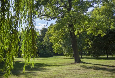 Widok na Zielony Park z większości apartamentów